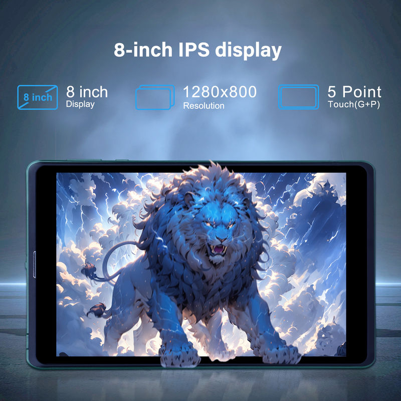 ایده C قابل حمل 8 اینچ Android Tablet PC با اندروید 12 Quad Core CPU 8GB RAM 512GB ذخیره سازی IPS صفحه نمایش HD CM818-سبز